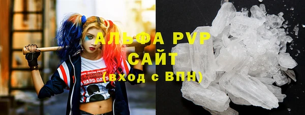крисы Коряжма