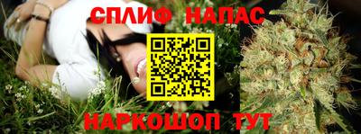 ГАЛЛЮЦИНОГЕННЫЕ ГРИБЫ Донской
