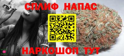 СК Дубна