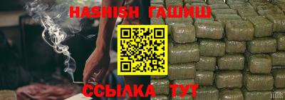 СК Дубна